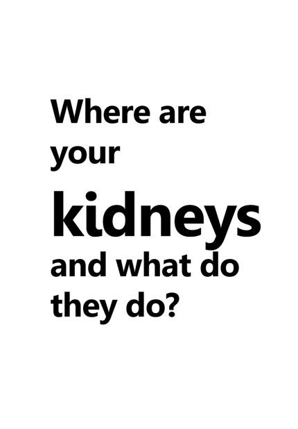 Where are your kidneys and what do they do?