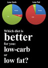 Which diet is better for you low carb or low fat?