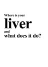 Where is your liver and what does it do?