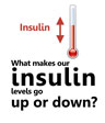 What makes our insulin levels go up or down?