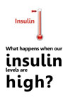 What happens when our insulin levels are high?